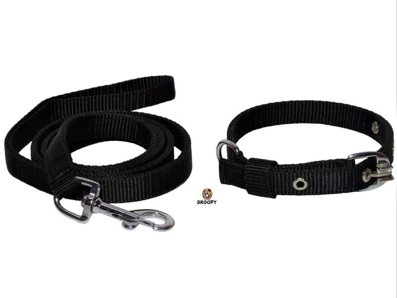 sawaay 150 cm Dog Strap Leash(Black)