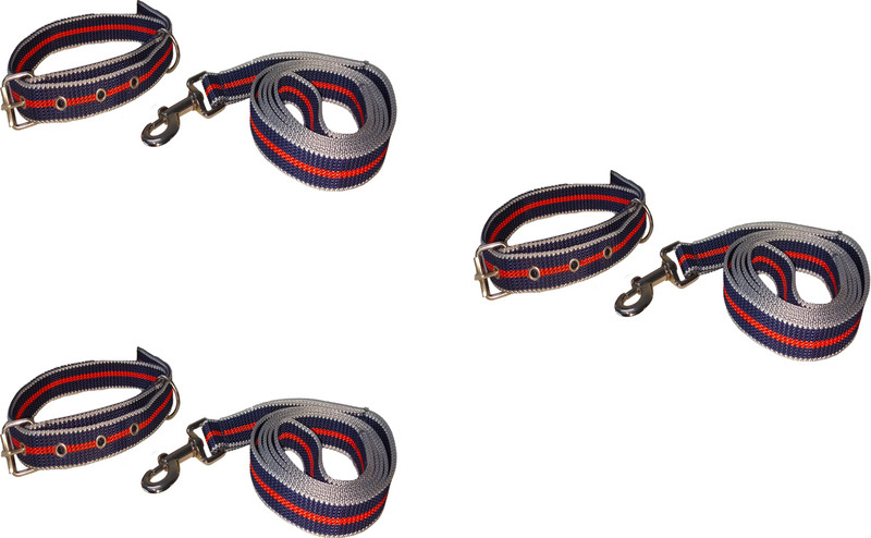 PANCHTATAVA Reversible Strong Nylon Reflective Dog Leash and Collar Setwith Strong Snap Hook 165 cm Dog & Cat Martingale Leash(Multicolor)