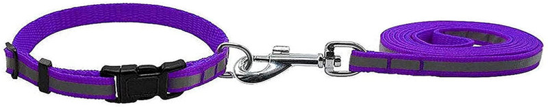 W9 Pet Products Nylon Adjustable Leash with Collar Set for Puppy-1.5 cm (Purple) 120 cm Dog & Cat Strap Leash(Purple)