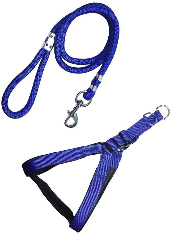Hundur Store 32 cm Dog Chain Leash(Blue)