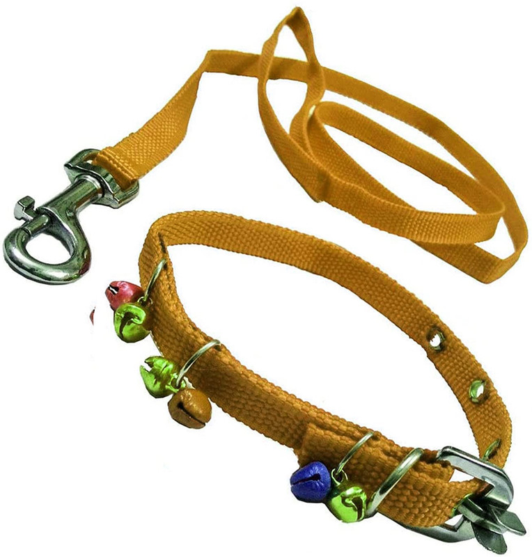 DRK Shop Mart Nylon Puppy Dogs, goat, Bakri, rabbit, khargosh Collar Belt and Leash small 160 cm Dog Chain Leash(Yellow)