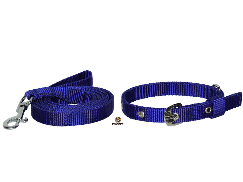 droopy Premium Dog collar and leash for Extra Small 150 cm Dog & Cat Strap Leash(Blue)