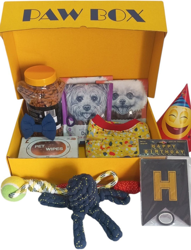 PAWBOX Dogs Litter Tray