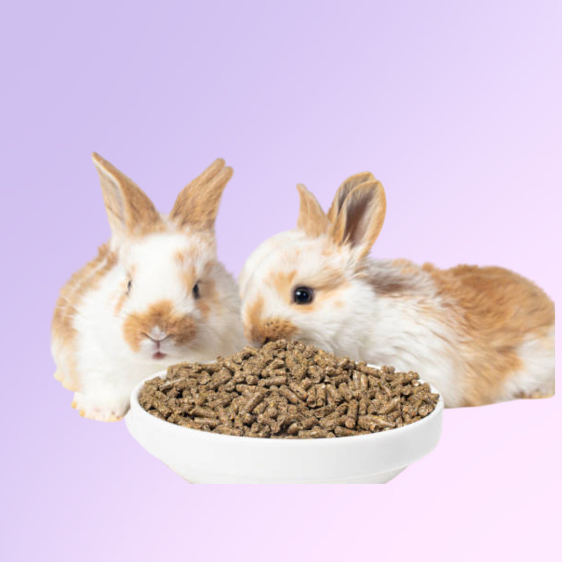 Jj clawsome 5kgPellet Food for Rabbits, Guinea Pigs, Hamsters, Rats and Other Small Animals Pet Litter Tray Refill