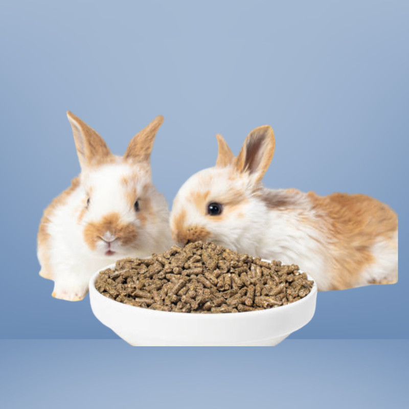 Jj clawsome Pellet Food for Rabbits Guinea Pigs, Hamsters, Rats Pet Litter Tray Refill