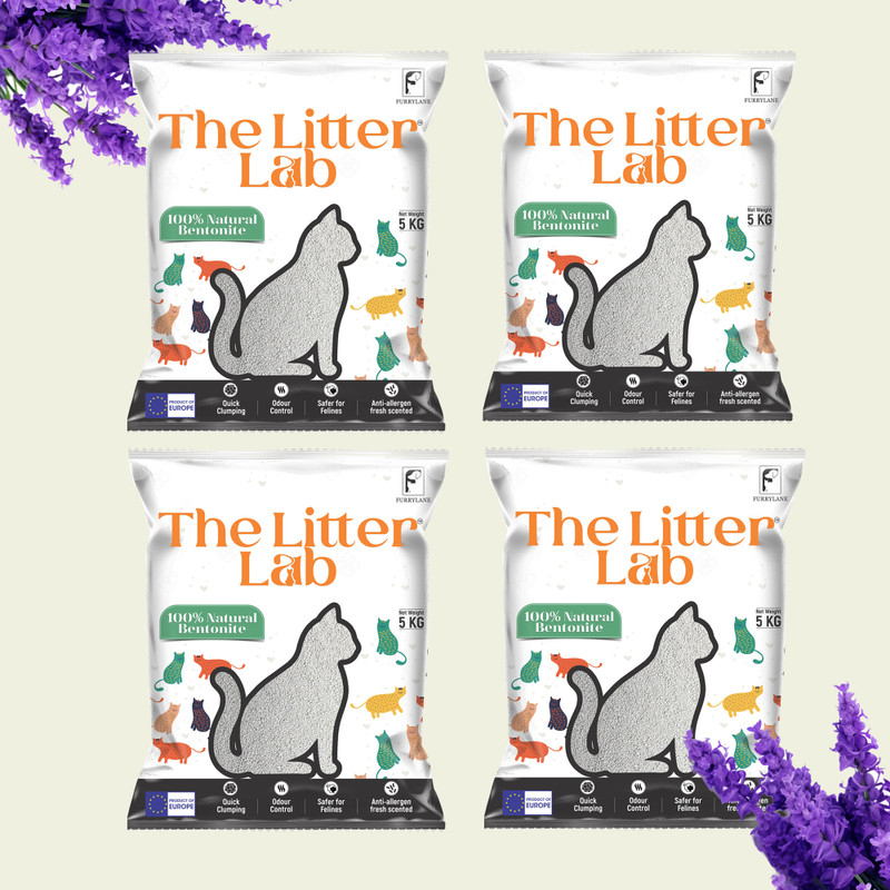 Furrylane The litter lab Bentonite Cat Litter Lavender 5Kg (Pack of 2 - Total 10 KG) Pet Litter Tray Refill