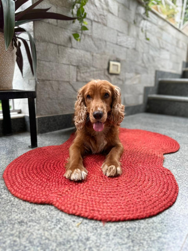 Stop To Shop 9HPJM01 Dog Pet Mat