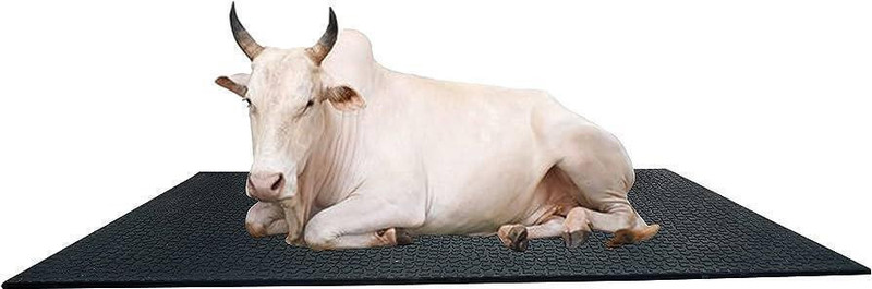 cowmat Cow Mat, Mat for Cow, Buffalo, Bull, Rubber Mat for Animal Cow, Dog, Hamster, Guinea Pig, Miniature Pig Pet Mat