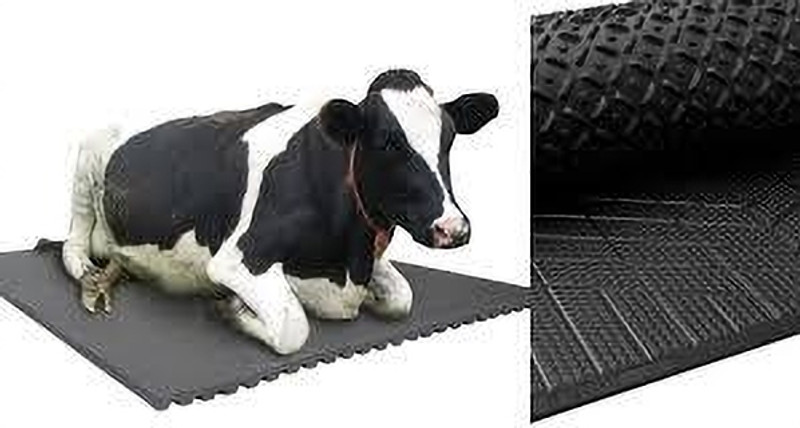 cowmat Cow Mat, use for Buffalo Bull and Horses (8 X 5 Feet) BPA Free Cow, Dog, Hamster, Guinea Pig, Miniature Pig Pet Mat