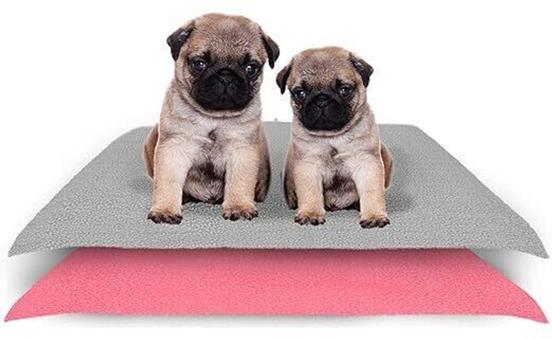 Amorite 70x50 cm pet mat |Waterproof Reusable Pee Pads | Combo Pack of 2 Dog, Cat, Rabbit, Hamster Pet Mat