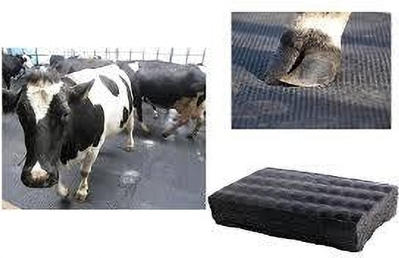 cowmat Cow Mat Waterproof And Easy To Clean Cow, Dog, Hamster, Guinea Pig, Miniature Pig Pet Mat