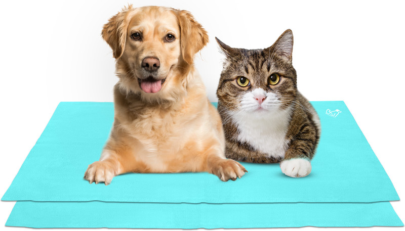 Pet's BFF Waterproof Reusable Washable Pee Pads & Pet Dry Sheet-Sea Green,Small(Pack of 2) Dog, Cat Pet Mat