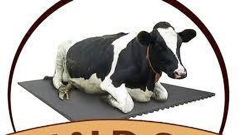 Haryana King Animal Waterproof mat,Size (8x5), for Horse,Cow,Buffalo,Bull,Premium A1 Quality Cow, Dog, Hamster, Guinea Pig, Miniature Pig Pet Mat