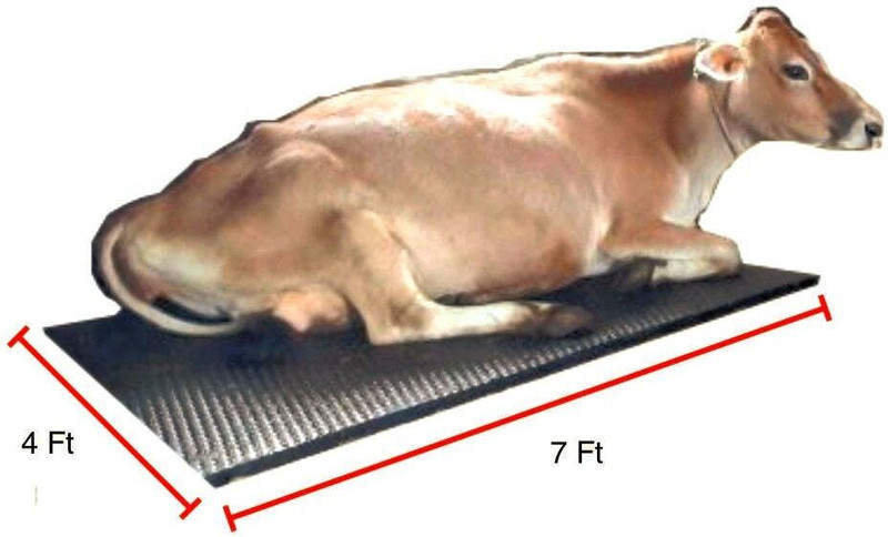 Ursus COW Mats for Dairy Cows Cow, Dog, Guinea Pig, Hamster, Miniature Pig Pet Mat
