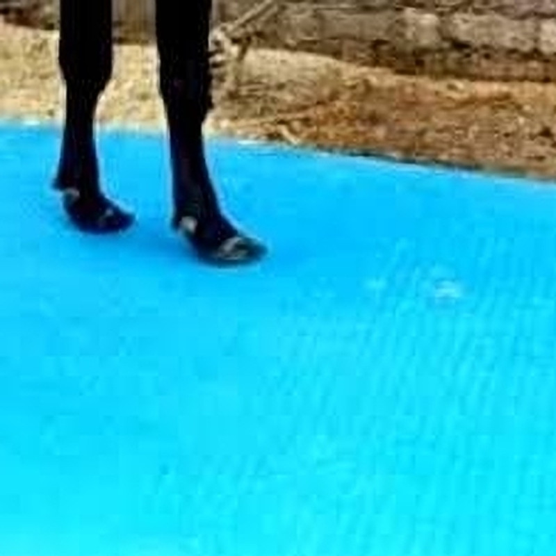 JINDAL KING Comfort Long-Lasting and Durable Mat for Pets Cow, Dog, Hamster, Guinea Pig, Miniature Pig Pet Mat