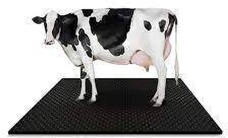 mgntt COW MAT ONE PCS 4XL Pet Bed (BLACK) Cow, Dog, Hamster, Guinea Pig, Miniature Pig Pet Mat