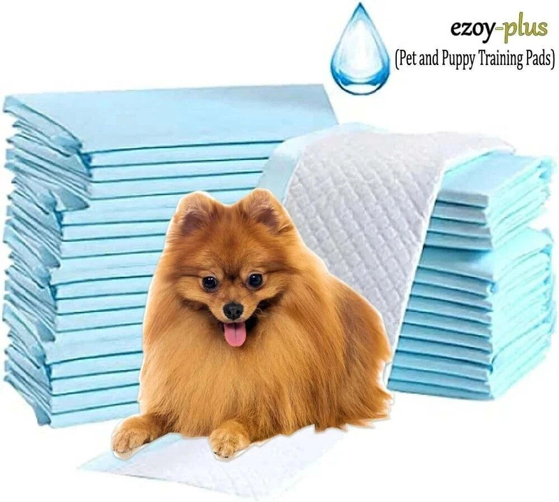Ezoy Plus Soft Pups Pee pad & Pets Dog Training Pads/ Potty Pads Large size (60*90cm) Dog, Cat, Rabbit Pet Mat
