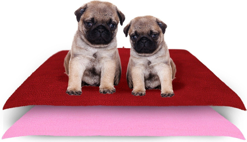 Amorite Reusable Washable Pee Pads-Puppies Washable Dog/Cat Diapers Sea Blue Dog, Cat, Rabbit, Hamster Pet Mat