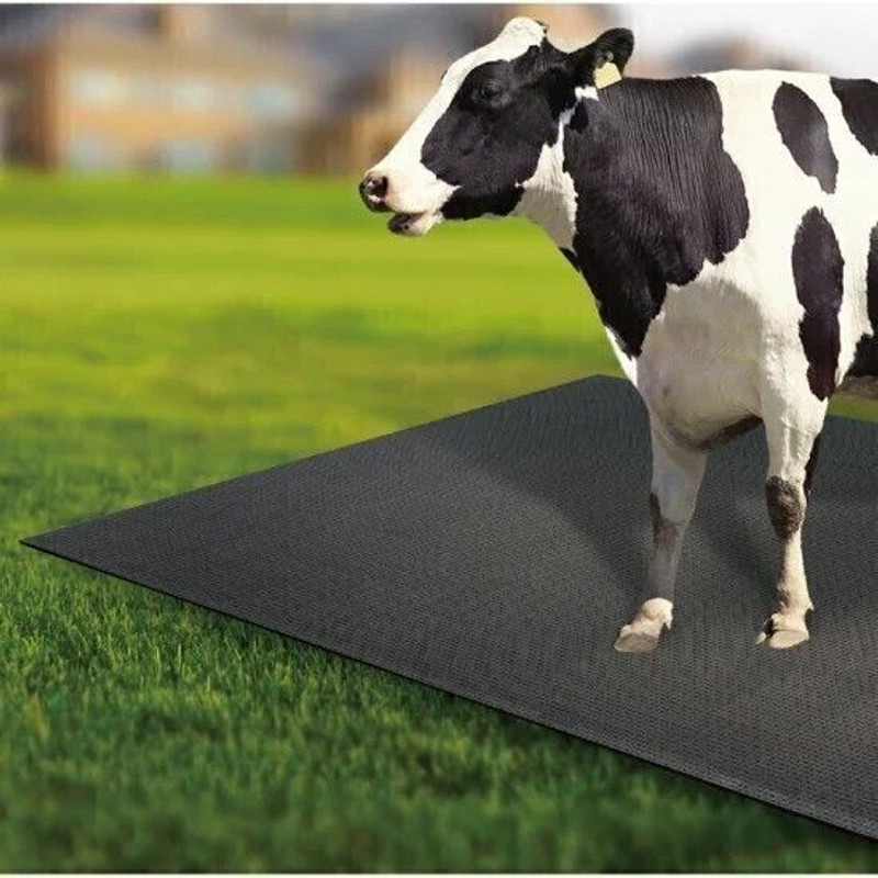 Ursus Animal Feeing Rubber Mat BPA Free Rubber Mat for Cow Cow, Hamster, Dog, Guinea Pig, Miniature Pig Pet Mat