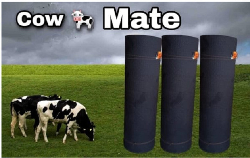 cowmat cow mat 8*5 Cow, Dog, Hamster, Guinea Pig, Miniature Pig Pet Mat