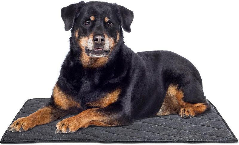 VANSOFY Anti Chew Waterproof Washable Crate Mat for Small Medium Dogs (18"x29") Cat, Dog, Rabbit, Tortoise Pet Mat