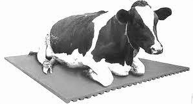 PetVeera Cow mat Premium Black Color Cow Pet Mat Cow, Dog, Hamster, Miniature Pig, Guinea Pig Pet Mat