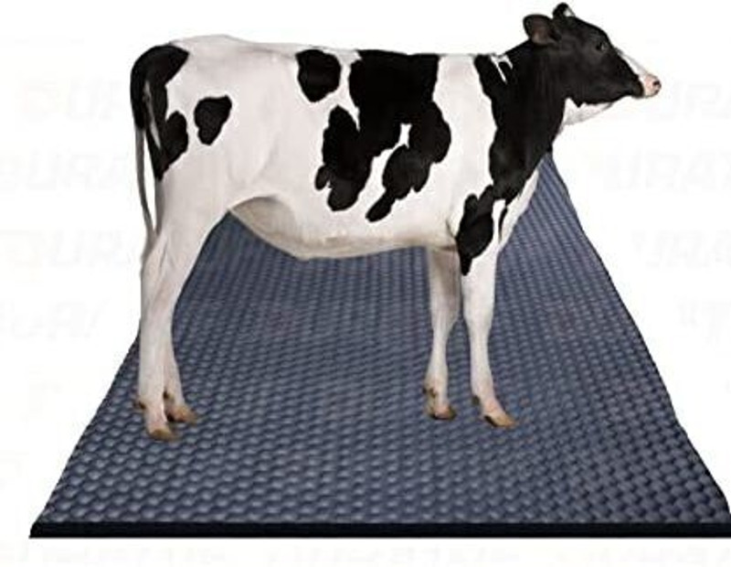 JINDAL KING Cow mat Premium Black Cow, Dog, Hamster, Guinea Pig, Miniature Pig Pet Mat