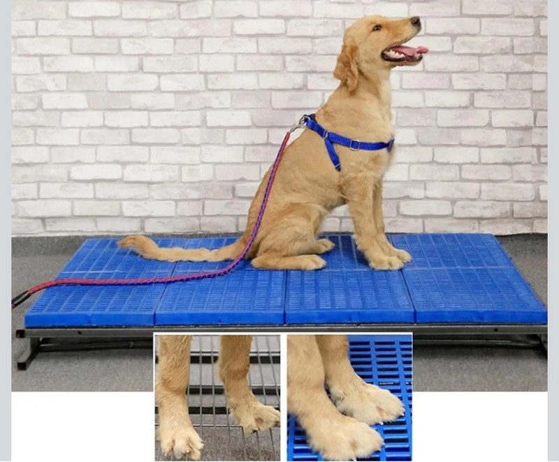 Nissi 1005wpm Dog Pet Mat