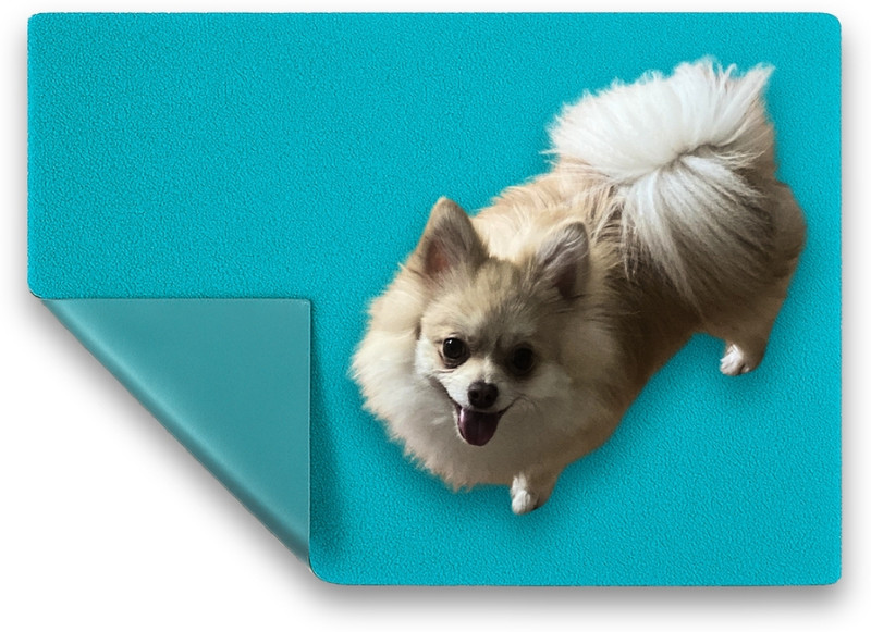 HUCHA Small Microfiber Dry Sheet for Pets Sky Blue & Light Pink Combo Dog, Cat, Rabbit Pet Mat