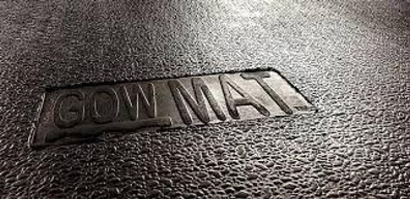 JINDALMAT Mat, BPA Free, Waterproof, Raised Edges, Mat for Cows Cow, Hamster, Guinea Pig, Dog, Miniature Pig Pet Mat