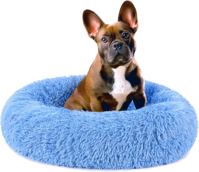DCM PET MART Cozy Indoor Sleeping Cushion (Blue, 20 Inch, Small) Dog Pet Mat