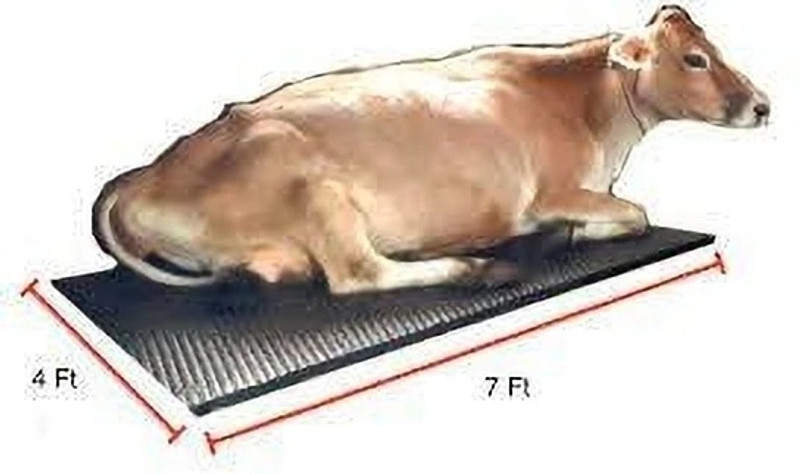 cowmat Waterproof Mat for Cows, Buffalo, Bull, Rubber Mat Cow, Dog, Hamster, Guinea Pig, Miniature Pig Pet Mat