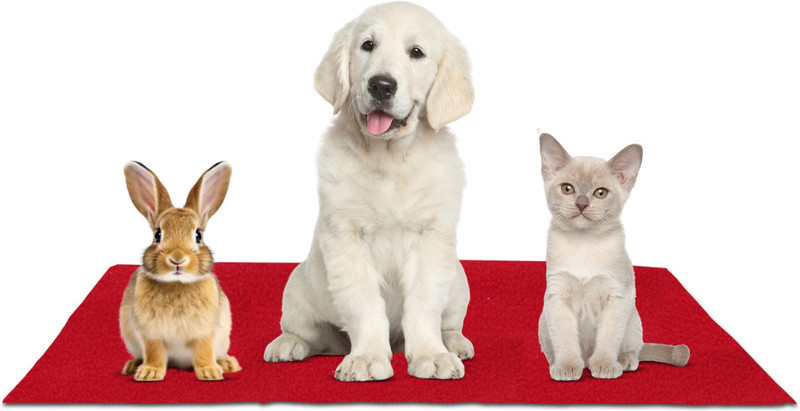 Newnik UP-M-FIROZA Dog, Cat, Rabbit Pet Mat