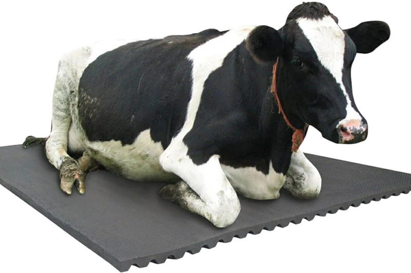 cowmat Animal Feeding Water Proof Rubber Mat With BPA Free For Cow, Buffalo, Horse Cow, Dog, Hamster, Guinea Pig, Miniature Pig Pet Mat