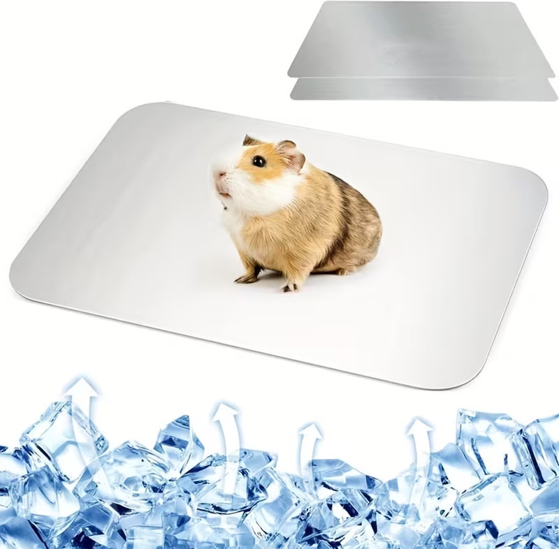 Jainsons Pet Products Aluminum Cooling Pads for Hamsters Guinea Pigs, Rabbits Small Pets 12x8 cm 2-Pcs Guinea Pig, Hamster, Miniature Pig Pet Mat