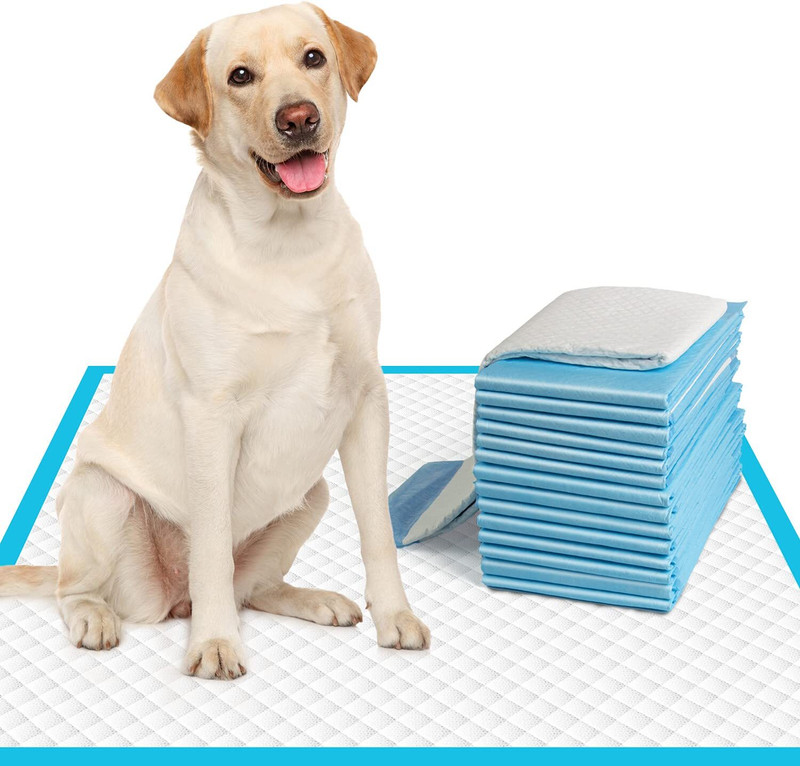 PetsVilla Puppy Training Pee and Potty Pads,Quick Drying Surface(60x90cm,40pcs) Pee Pads Dog, Cat Pet Mat