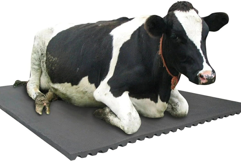 Ursus Animal Feeding Waterproof Rubber mat BPA Free for Cow, Buffalo, BLACK Cow, Dog, Cat, Guinea Pig, Tortoise Pet Mat
