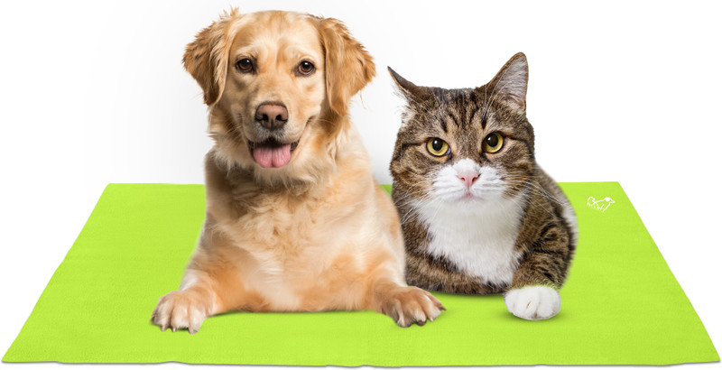 Pet's BFF Waterproof Reusable Washable Pee Pads & Pet Dry Sheet-Maroon, Medium Dog, Cat Pet Mat