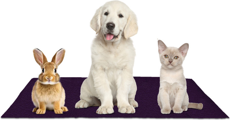 Newnik Absorbent Waterproof Reusable Pee, Sleep & Training Pads,PURPLE, Small Dog, Cat, Rabbit Pet Mat