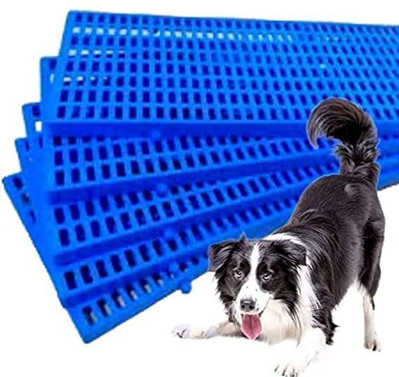 PARIPURAN Blue Dog MAT Set of-6 Cow, Dog, Guinea Pig, Rabbit Pet Mat