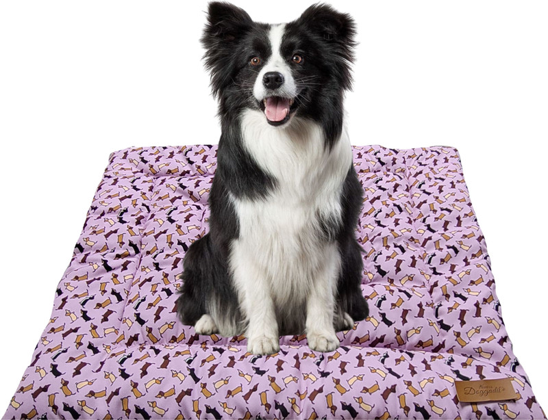 NUEVOS DOGGADIL 20039 Dog, Cat, Rabbit Pet Mat