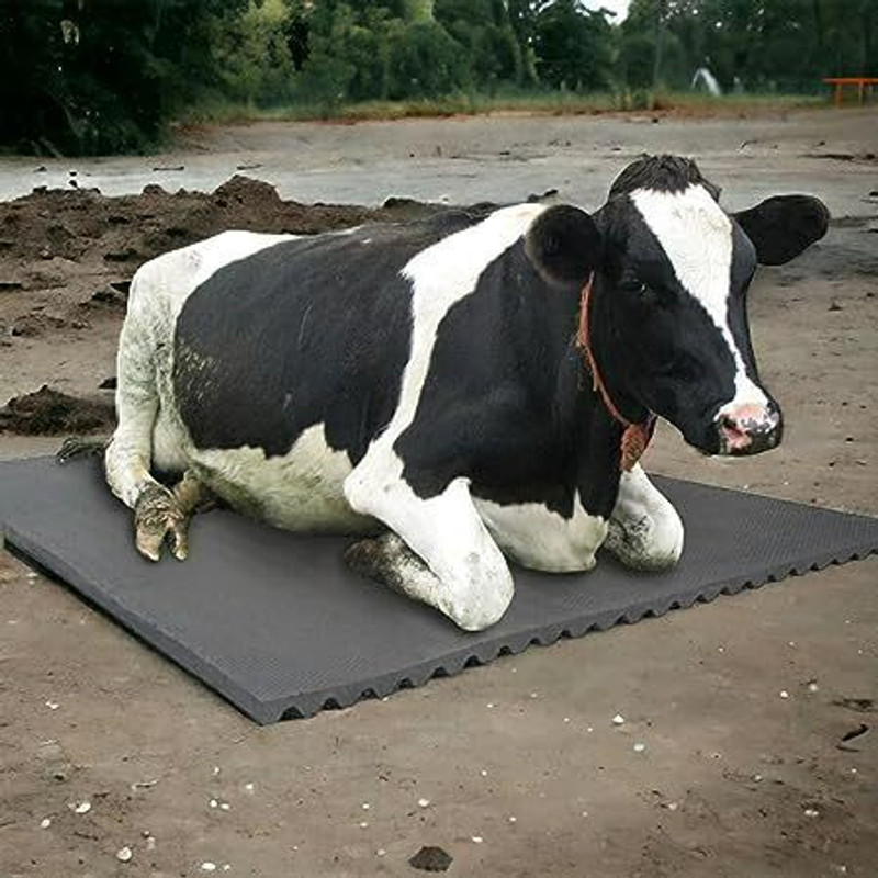 LCARNO Premium Cow Mat, Feeding Mat, BPA Free, Easy Clean, Dishwasher Safe 24 mm Cow, Dog, Hamster, Guinea Pig, Miniature Pig Pet Mat