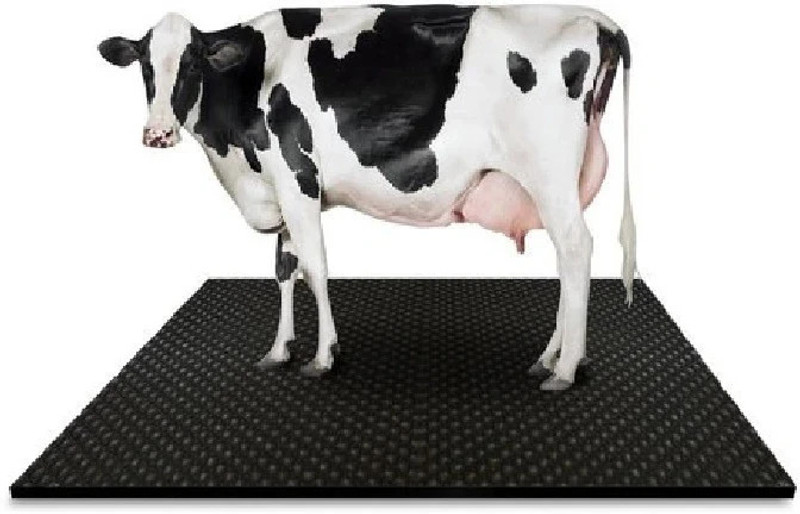 Ursus Cow Mat | Color-Black | 6(ft) x 4 (ft) x 17(mm) 4XL Pet Bed (black) Cow, Hamster, Dog, Guinea Pig, Rabbit Pet Mat