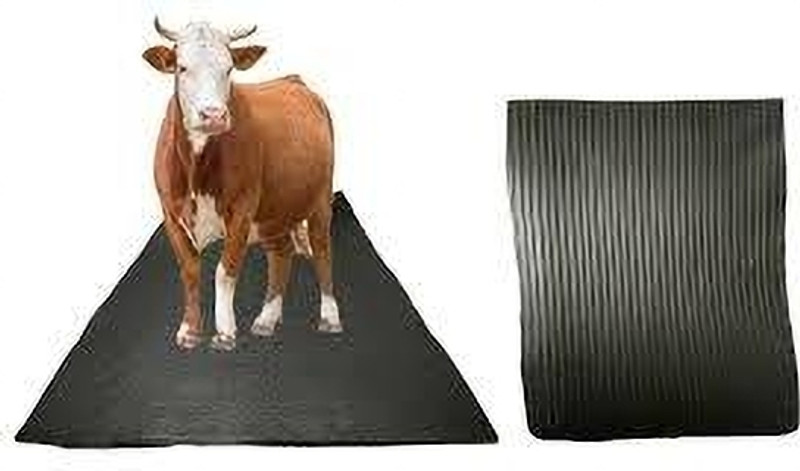 JINDAL KING long-lasting quality of the cow & buffalo mats. Cow, Dog, Hamster, Guinea Pig, Miniature Pig Pet Mat