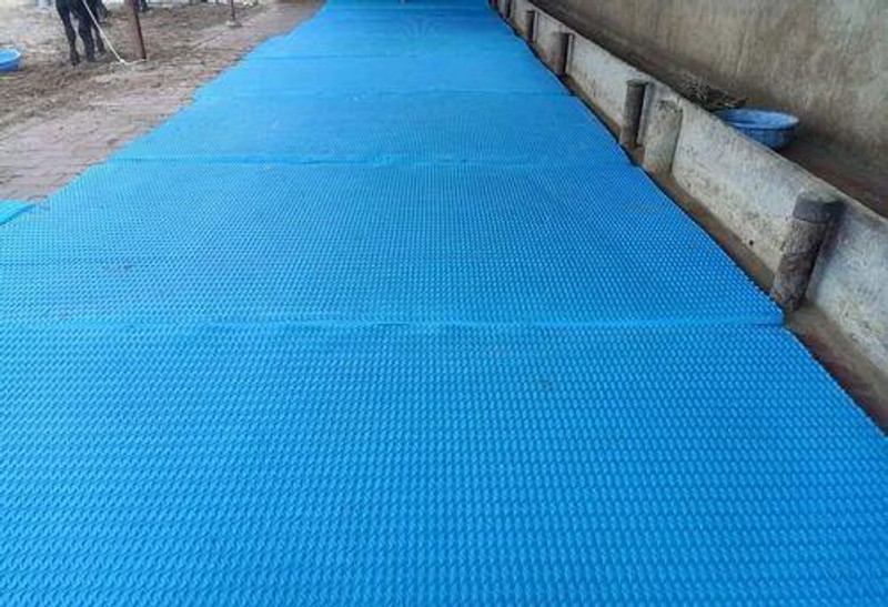 HARYANA JINDAL Cowmat Waterproof, Mat for All Animal ( Blue) Cow, Dog, Guinea Pig, Hamster, Miniature Pig Pet Mat