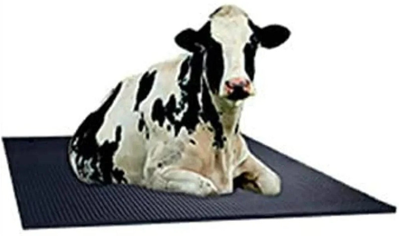 LCARNO Cow Mat Animal Feeding Waterproof Rubber 24 mm Cow, Dog, Hamster, Guinea Pig, Miniature Pig Pet Mat
