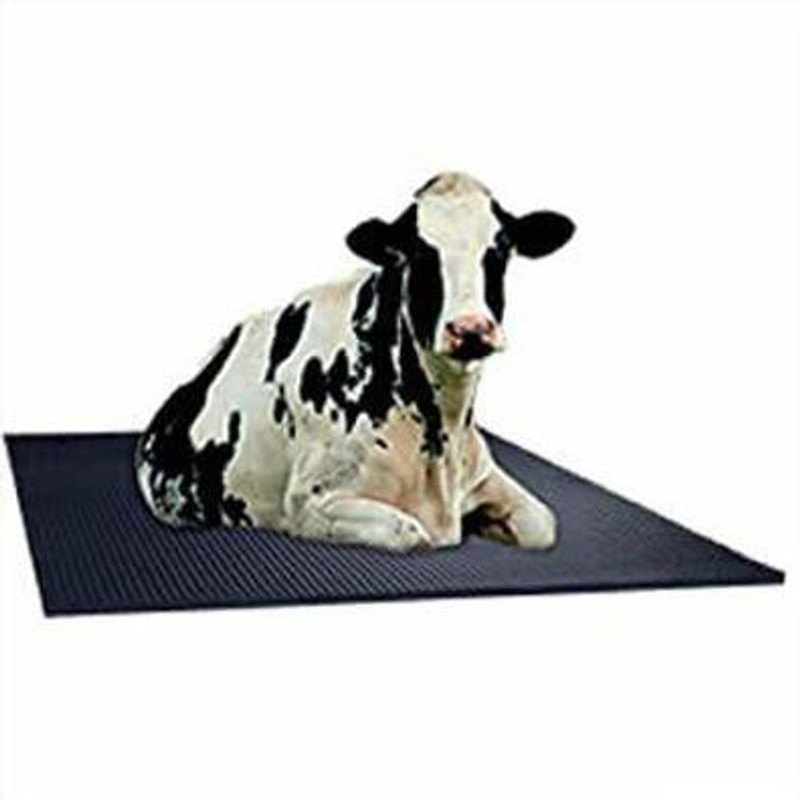 Mochadee 4XL 1 COW MATT XL Pet Bed(BLACK)