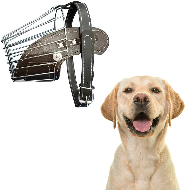 DreamAuro Dog Steel Wire Mouth Mask/Muzzle, Basket Design, Rust Free, Leather Strap Medium Other Dog Muzzle(Black, Brown)
