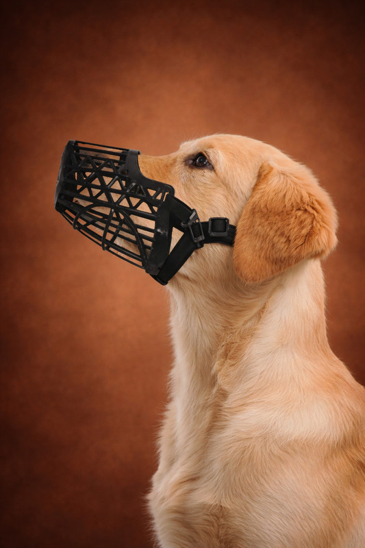 AKEnnterprises 5No Dog Muzzle Basket Design Plastic Pet Muzzle Comfortable for Medium,Large Dog Large Other Dog Muzzle(Black)