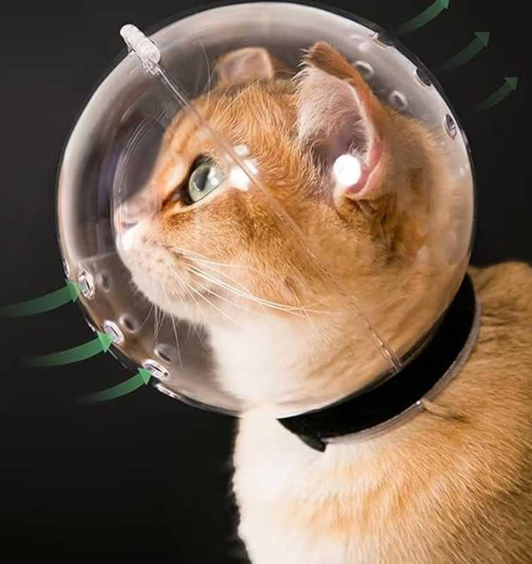 Nissi Muzzle for cat Small Strips Cat Muzzle(Transparent)